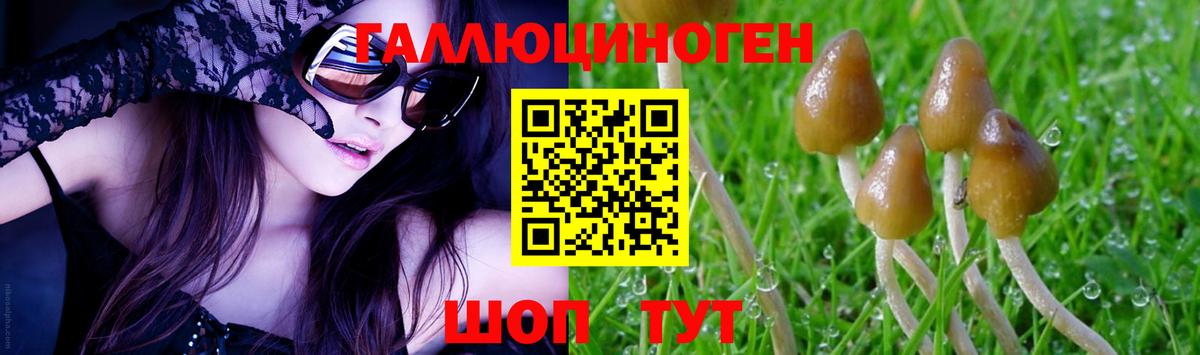 Галлюциногенные грибы мицелий  Галлюциногенные грибы GOLDEN TEACHER  купить   Вход с VPN  Еманжелинск 